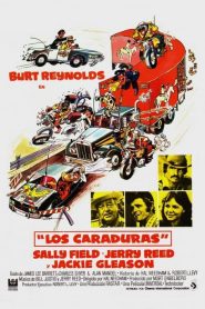 Dos pícaros con suerte (1977)