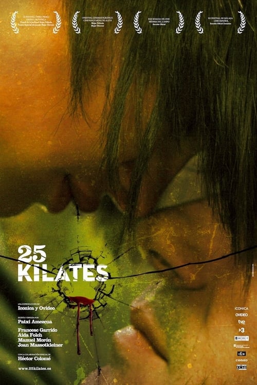 25 kilates (2008)