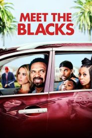 Conociendo a los Blacks (2016)