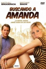 Finding Amanda (2008)