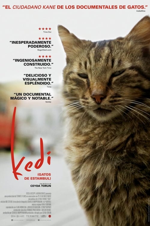 Kedi (Gatos de Estambul) (2017)