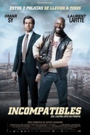Incompatibles (2012)