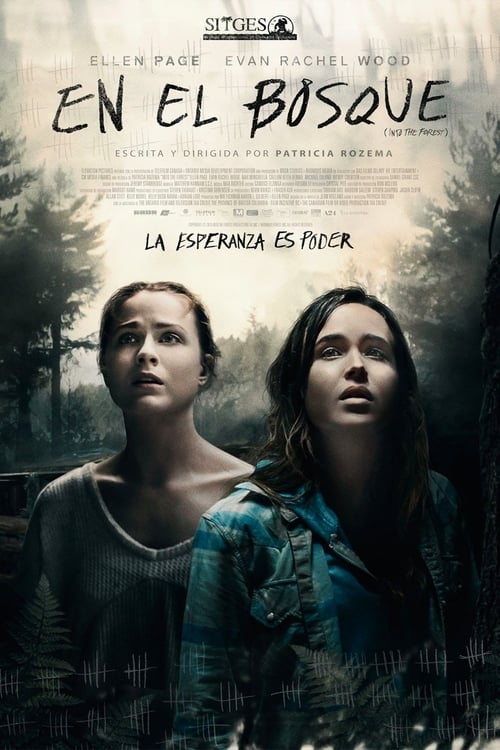 Into the Forest (2016)