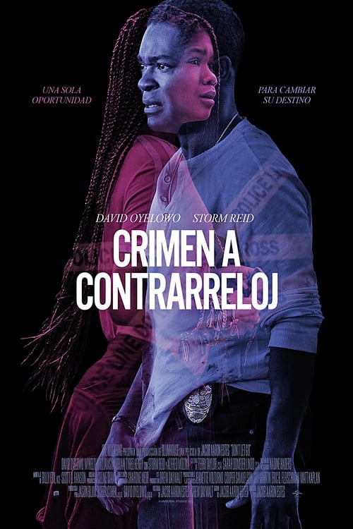 Crimen a contrarreloj (2019)