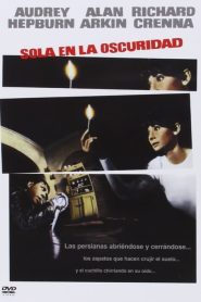 Espera la oscuridad (1967)