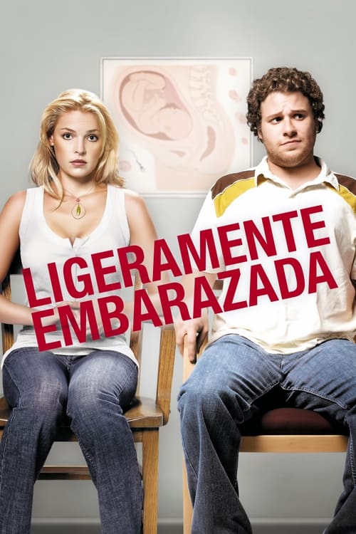 Ligeramente embarazada (2007)