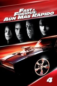Rápidos y furiosos (2009)