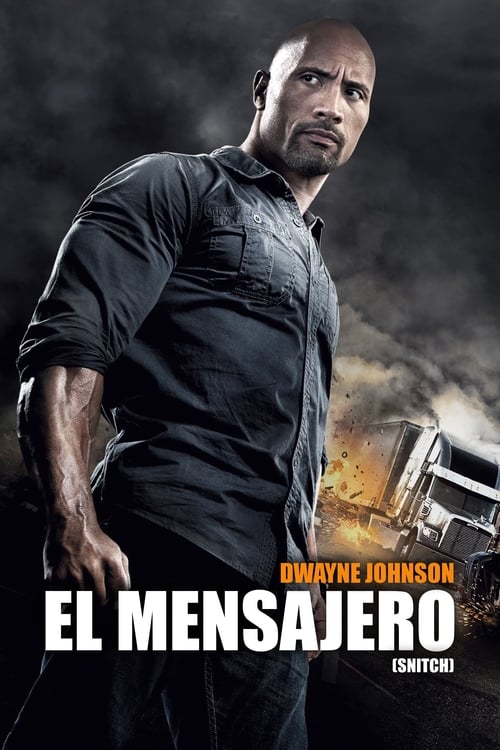El infiltrado (2013)
