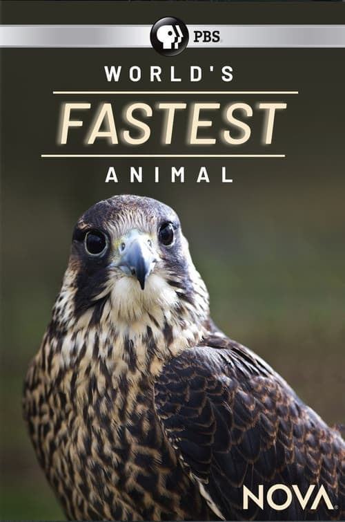 World’s Fastest Animal (2018)