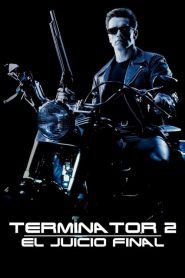 Terminator 2: Juicio Final (1991)
