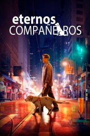 Eternos Compañeros (2019)