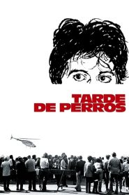 Tarde de Perros (1975)