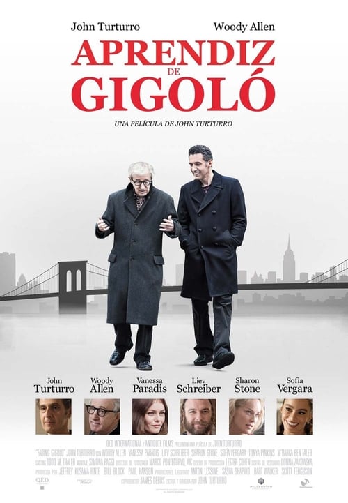 Aprendiz de gigolo (2013)