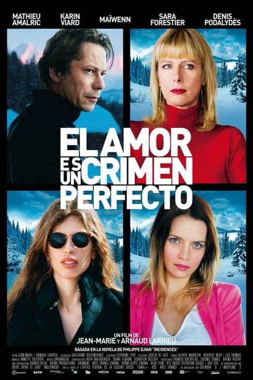 L’amour est un crime parfait (2013)