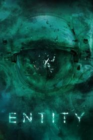 Entity (2014)