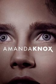Amanda Knox (2016)