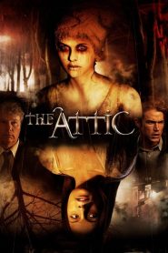 The Attic (2008)