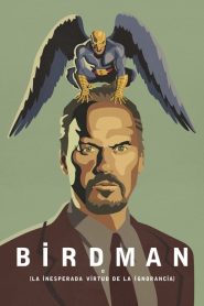 Birdman o la inesperada virtud de la ignorancia (2014)