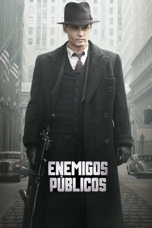 Enemigos Publicos (2009)