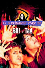 El alucinante viaje de Bill y Ted (1991)