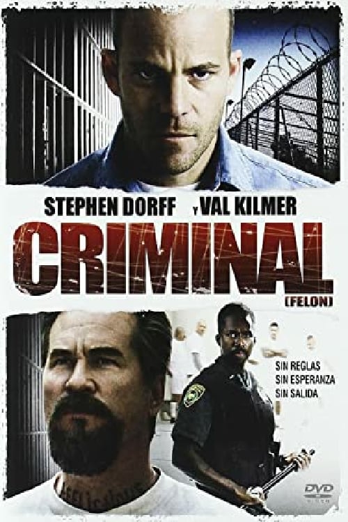 Criminal (Felon) (2008)