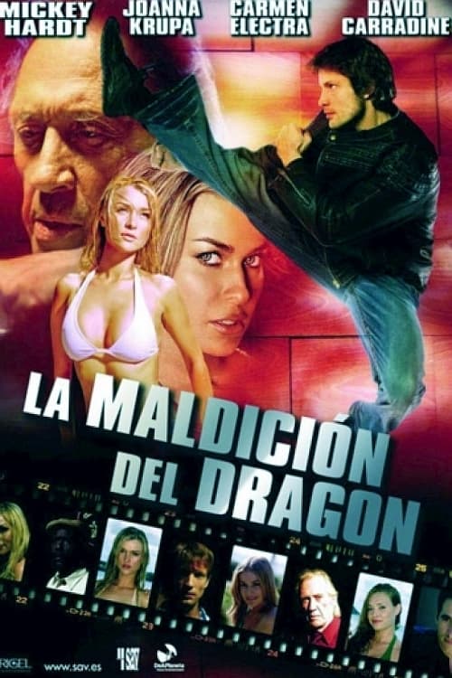 Max Havoc: Curse Of The Dragon (2004)