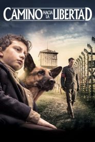 Shepherd: The Hero Dog (2020)