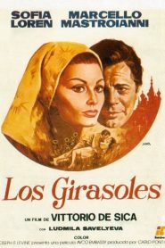 Los girasoles (1970)